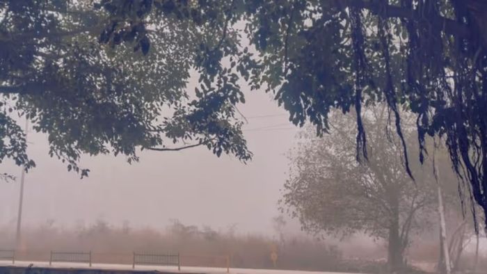 ৫ জেলায় বৃষ্টি, বাংলায় জাঁকিয়ে শীত কবে থেকে? জানুন আবহাওয়ার খবর