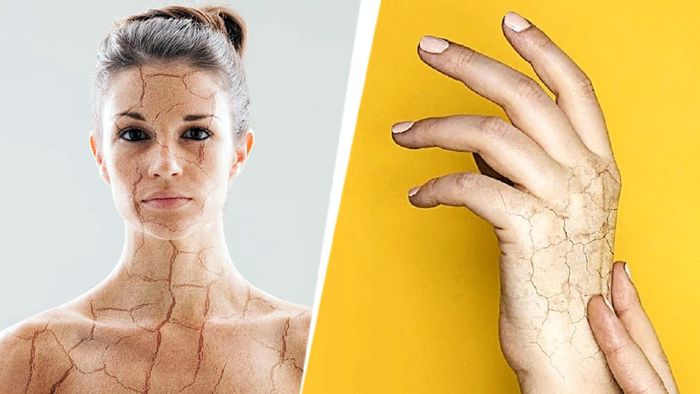 প্রতীকী ছবি