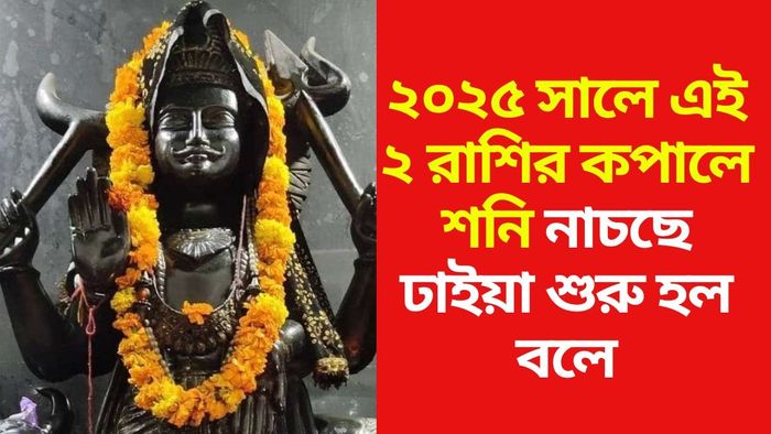 কোন রাশিদের ঢাইয়া শুরু আগামী বছরে