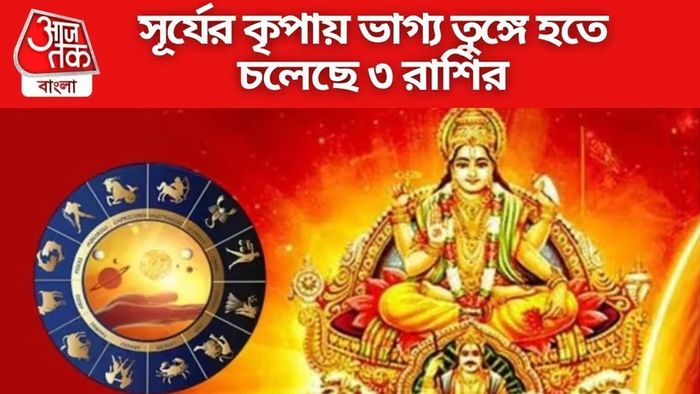 সূর্যের প্রভাবে বৈভব-সম্পদের সাগরে ডুব দেবে ৩ রাশি, কপাল ঘুরবে