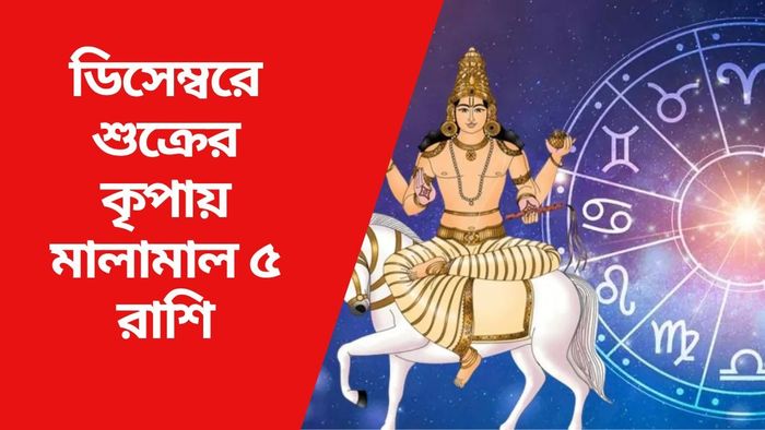 ডিসেম্বরে শুক্রের কৃপায় মালামাল ৫ রাশি