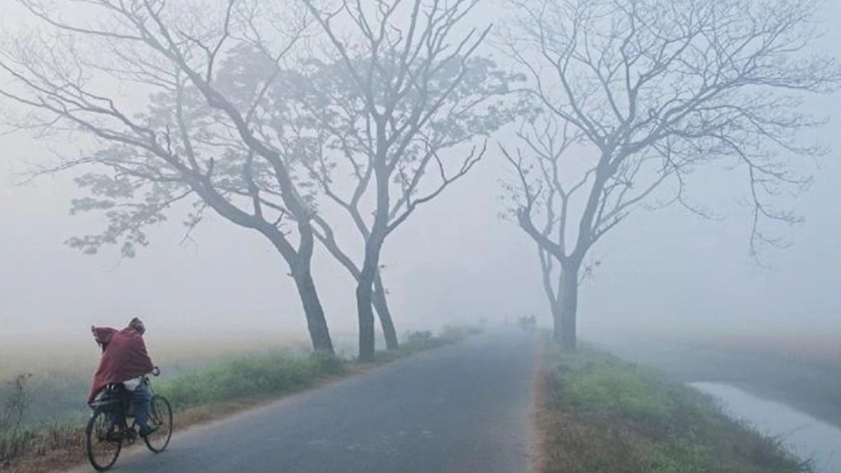 রাজ্যে হু হু করে ঢুকছে উত্তুরে হাওয়া, শীতের ইনিংস শুরু; এই সপ্তাহে কেমন ঠান্ডা পড়বে?