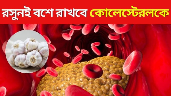 কোলেস্টেরল বশে রাখবে রসুন