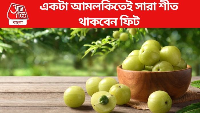একটা আমলকিতেই সারা শীত থাকবেন ফিট