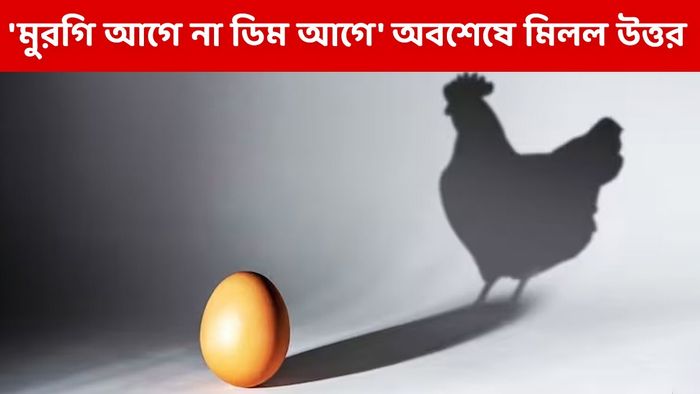 'মুরগি আগে না ডিম আগে', অবশেষে বিজ্ঞানীদের হাতে এল চূড়ান্ত জবাব