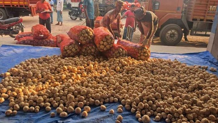 হিমঘর থেকে আলু বের করার সময়সীমা নিয়ে বিভ্রান্তি, ধর্মঘটে যেতে পারেন ব্যবসায়ীরা