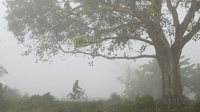 ঘন কুয়াশার সতর্কতা ১৩ জেলায়। ফাইল ছবি