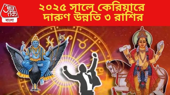 ২০২৫ সালে কেরিয়ারে দারুণ উন্নতি ৩ রাশির