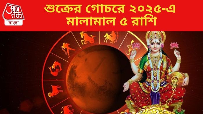 শুক্রের গোচরে ২০২৫-এ মালামাল ৫ রাশি
