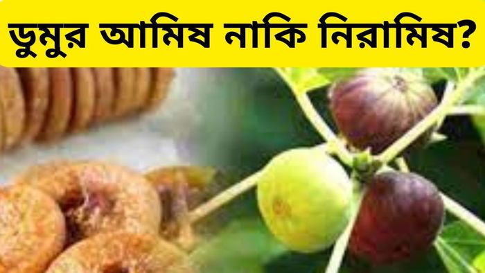 ডুমুর আমিষ নাকি নিরামিষ? এই প্রশ্নে তোলপাড় সোশ্যাল মিডিয়ায়