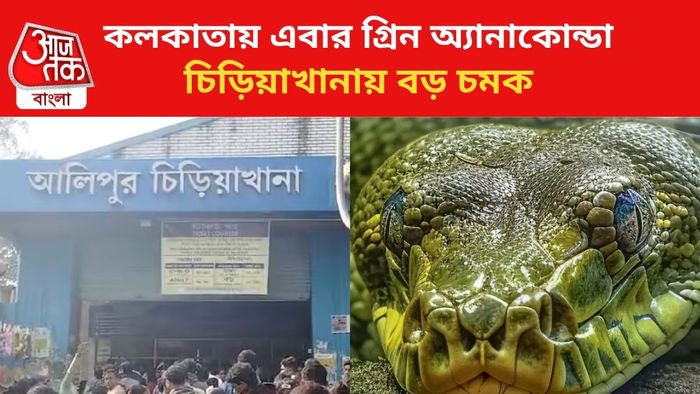 আলিপুর চিড়িয়াখানায় আনা হচ্ছে সবুজ অ্যানাকোন্ডা।