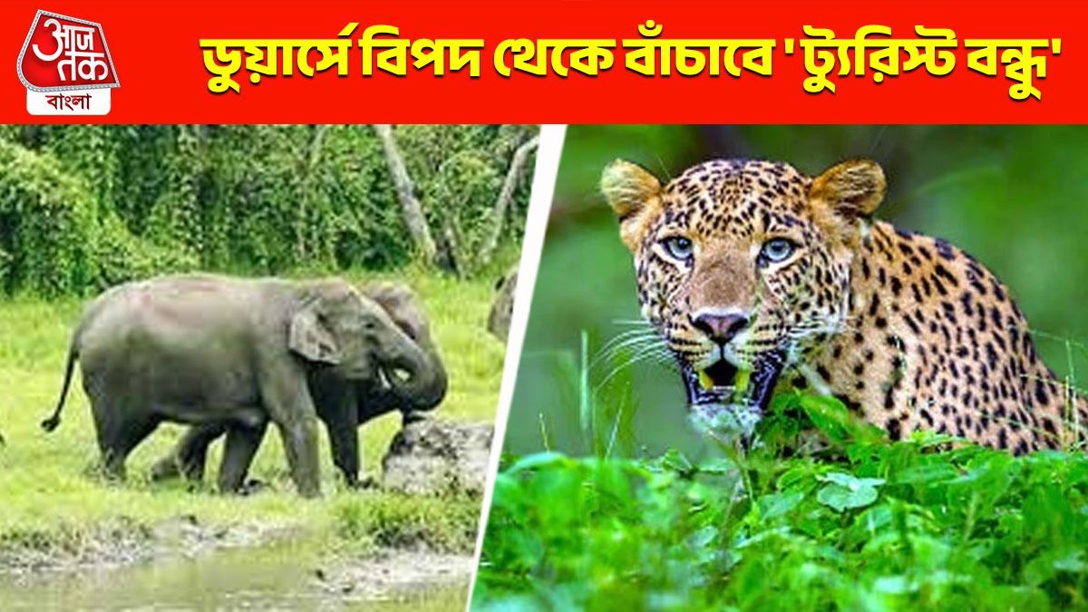 ডুয়ার্সে হোটেল পাচ্ছেন না? খুঁজে দিচ্ছে 'ট্যুরিস্ট বন্ধু', বাঁচাবে হাতি-চিতাবাঘ থেকেও