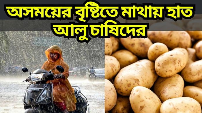 ফেনজল সাইক্লোনের প্রভাবে ৬ জেলায় বৃষ্টি, আলু চাষে ক্ষতির শঙ্কা