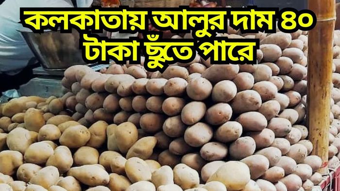 হিমঘরে আলু রাখার সময় ১ মাস বাড়ল, কলকাতায় দাম ৪০ ছুঁতে পারে, কেন?