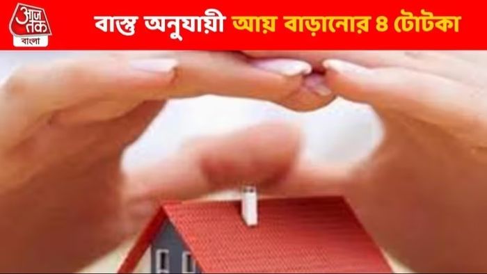 আয় বাড়াতে চাইলে বাস্তুতে এই ৪ টি প্রতিকার করুন, হুড়হুড় করে টাকা ঢুকবে