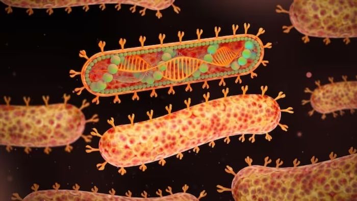 Representative Image