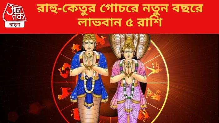 রাহু-কেতুর গোচরে নতুন বছরে লাভবান ৫ রাশি