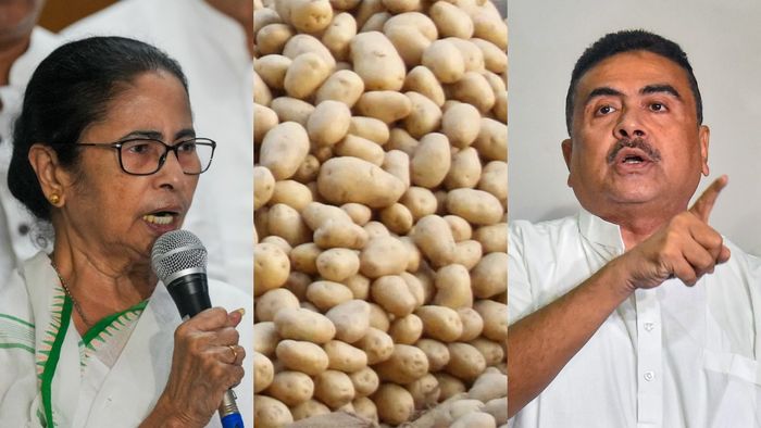 'বাস্তব জ্ঞান নেই', রাজ্যে আলু নিয়ে জটিলতার জন্য মুখ্যমন্ত্রীকে তোপ শুভেন্দুর