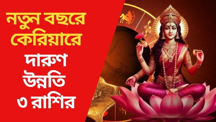 নতুন বছরে কেরিয়ারে দারুণ উন্নতি ৩ রাশির
