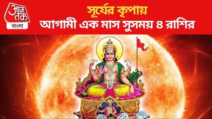 সূর্যের কৃপায় কপাল ঘুরছে, ডিসেম্বরেই অর্থযোগ ৪ রাশির