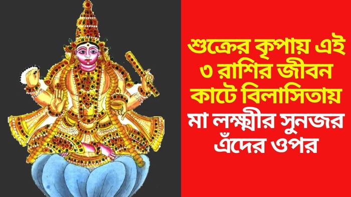 শুক্রের প্রিয় রাশি