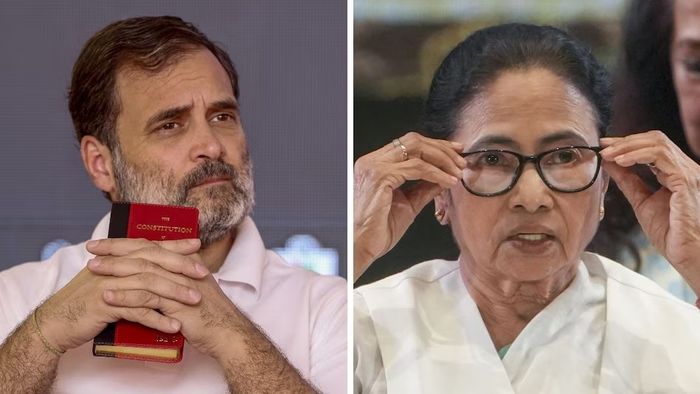 রাহুল গান্ধী ও মমতা বন্দ্যোপাধ্যায়।