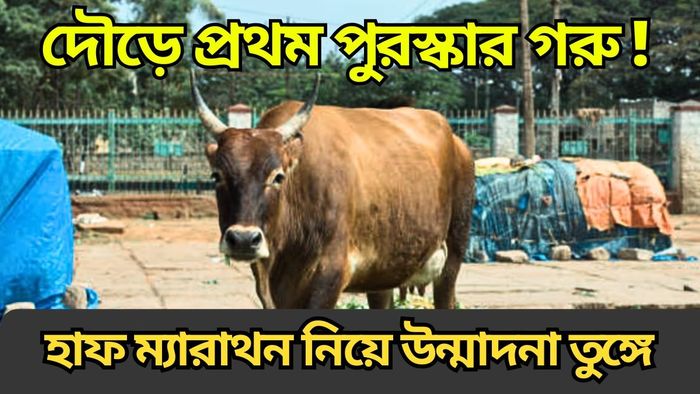 দৌড়ে জিততে পারলেই পুরস্কার গরু, মাছ, মুরগি! নাম দেবেন নাকি ?