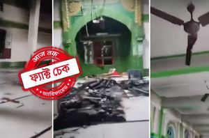 Social Media Users Social Media Users