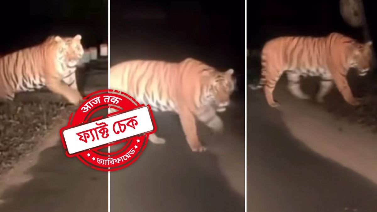 ফ্যাক্ট চেক: ঝাড়গ্রামের চিল্কিগড় সীমান্তে দেখা মিলল বাঘ? না, ভাইরাল ভিডিওটি মধ্যপ্রদেশের