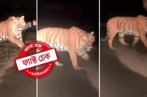 Facebook Users Facebook Users