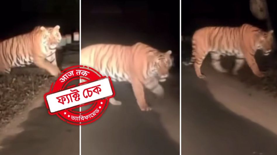 ফ্যাক্ট চেক: ঝাড়গ্রামের চিল্কিগড় সীমান্তে দেখা মিলল বাঘ? না, ভাইরাল ভিডিওটি মধ্যপ্রদেশের ফ্যাক্ট চেক: ঝাড়গ্রামের চিল্কিগড় সীমান্তে দেখা মিলল বাঘ? না, ভাইরাল ভিডিওটি মধ্যপ্রদেশের
