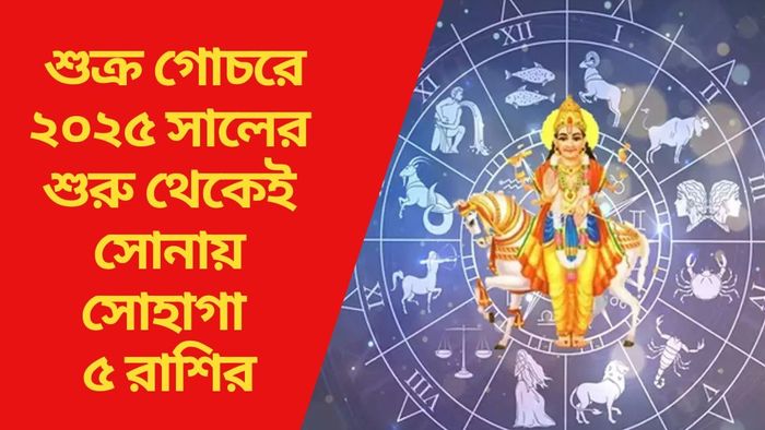 শুক্র গোচরে ২০২৫ সালের শুরু থেকেই সোনায় সোহাগা ৫ রাশির