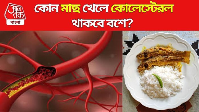 কোন মাছে বশে থাকবে কোলেস্টেরল?