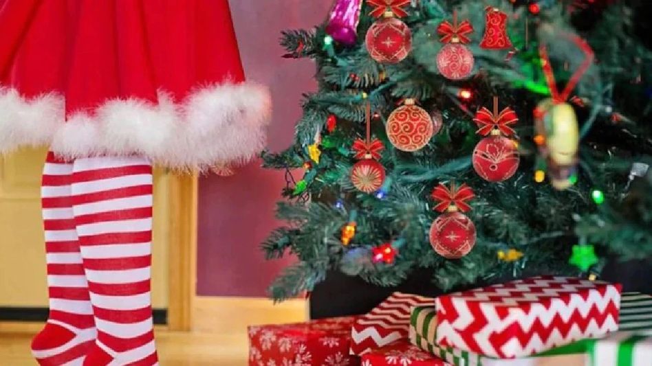 শুরু বড়দিনের কাউন্টডাউন! বাড়ি সাজাতে কী কী লাগবে? রইল ক্রিসমাসের চেকলিস্ট শুরু বড়দিনের কাউন্টডাউন! বাড়ি সাজাতে কী কী লাগবে? রইল ক্রিসমাসের চেকলিস্ট