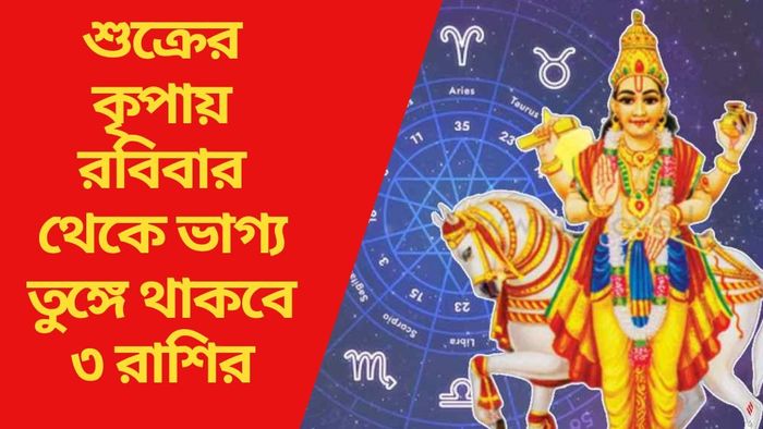 শুক্রের কৃপায় রবিবার থেকে ভাগ্য তুঙ্গে থাকবে ৩ রাশির