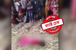 Facebook Users Facebook Users