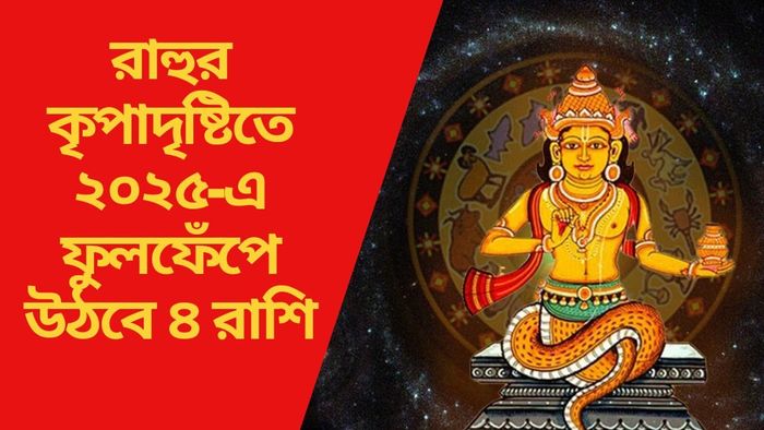 রাহুর কৃপাদৃষ্টিতে ২০২৫-এ ফুলফেঁপে উঠবে ৪ রাশি