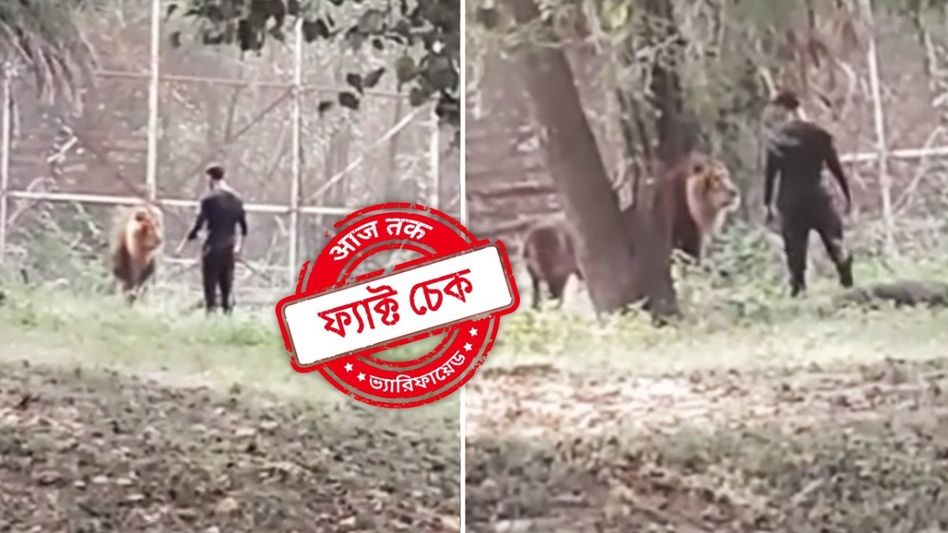 ফ্যাক্ট চেক: সিংহের খাঁচায় ঢুকে যুবকের প্রাণপণ লড়াইয়ের এই ঘটনা ২০১৯ সালের, দু'দিন আগের নয় ফ্যাক্ট চেক: সিংহের খাঁচায় ঢুকে যুবকের প্রাণপণ লড়াইয়ের এই ঘটনা ২০১৯ সালের, দু'দিন আগের নয়