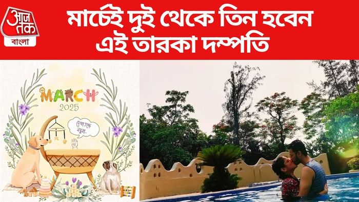 মা হতে চলেছেন এই খলনায়িকা