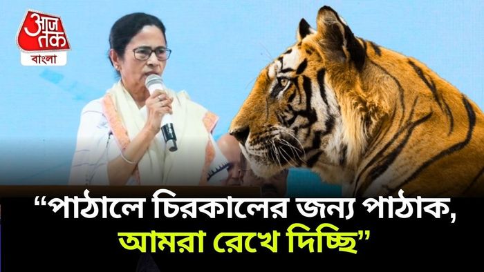 বাঘ নিয়ে ক্ষুব্ধ মুখ্যমন্ত্রী।-গ্রাফিক