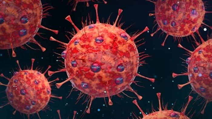 দেশজুড়ে HMP ভাইরাসে আক্রান্ত ৪, রাজ্যগুলিতে জারি অ্যালার্ট