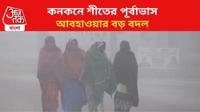 ফাইল চিত্র।