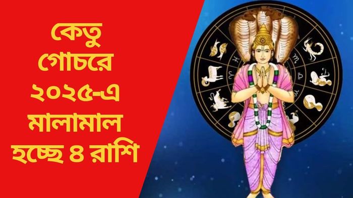 কেতু গোচরে ২০২৫-এ মালামাল হচ্ছে ৪ রাশি