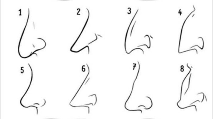 nose