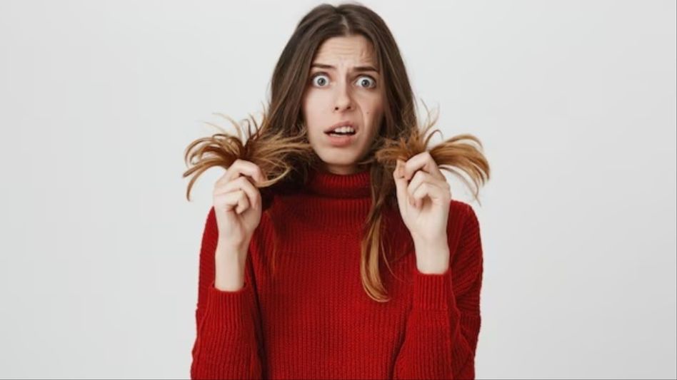 শীতে মুঠো মুঠো চুল উঠছে? সমস্যা দূর হবে এসব ঘরোয়া টোটকা শীতে মুঠো মুঠো চুল উঠছে? সমস্যা দূর হবে এসব ঘরোয়া টোটকা