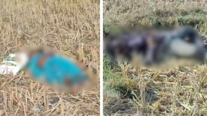 ছত্তিসগঢ়ের খবর