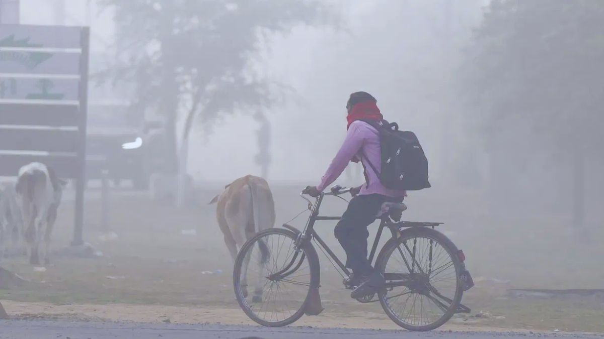 পৌষের শেষেও শীত নেই বাংলায়, ঠান্ডা কি এবছর আর পড়বে না? আপডেট পৌষের শেষেও শীত নেই বাংলায়, ঠান্ডা কি এবছর আর পড়বে না? আপডেট