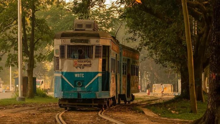 কলকাতা ট্রাম-- ছবি: শঙ্খ দাস