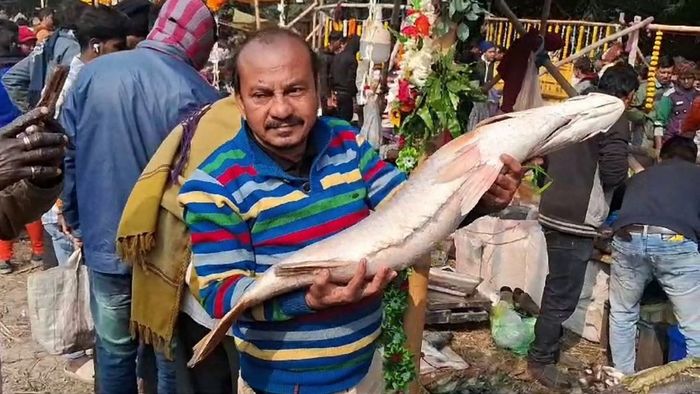 Debanandapur Fish Fair: দেবনন্দপুরের মাছের মেলায় এমন আরও হাজারো দৃশ্য দেখতে পাবেন।