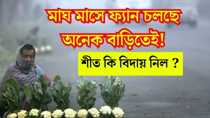 আর কবে জাঁকিয়ে শীত পড়বে? আবহাওয়া অফিস যা জানাচ্ছে...